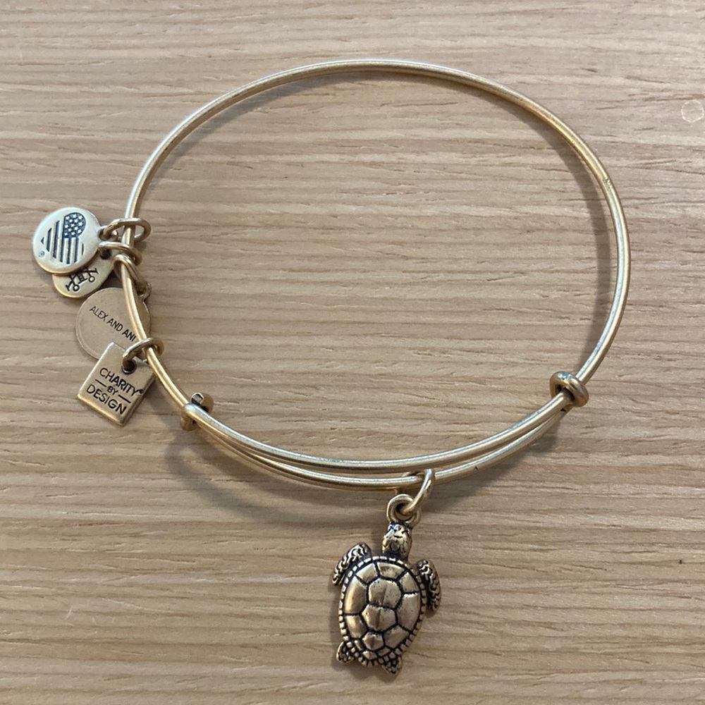 Alex and Ani turtle bracelet
